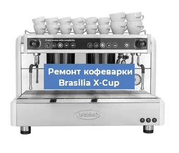 Замена прокладок на кофемашине Brasilia X-Cup в Челябинске